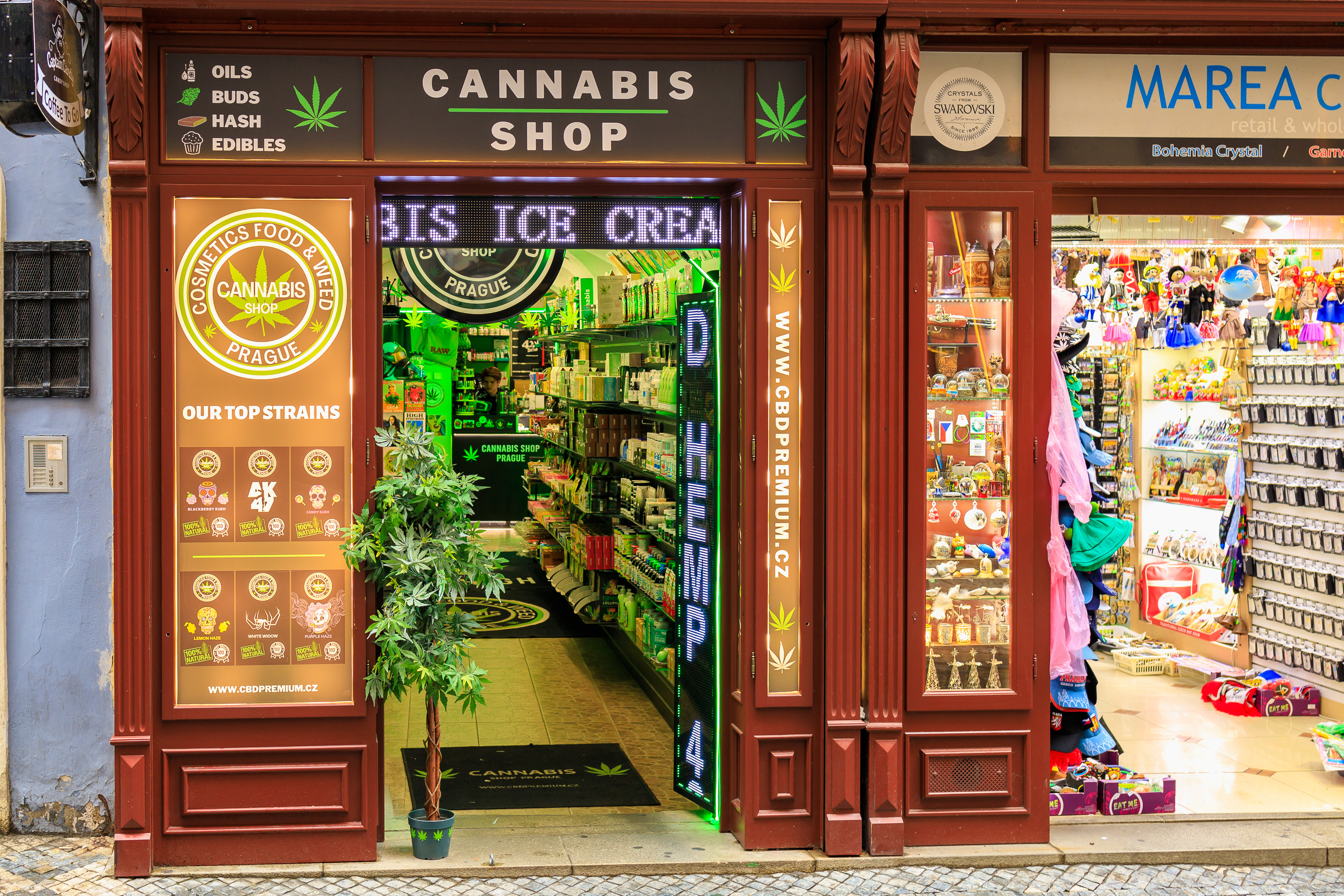 CBDtrend le shop du CBD